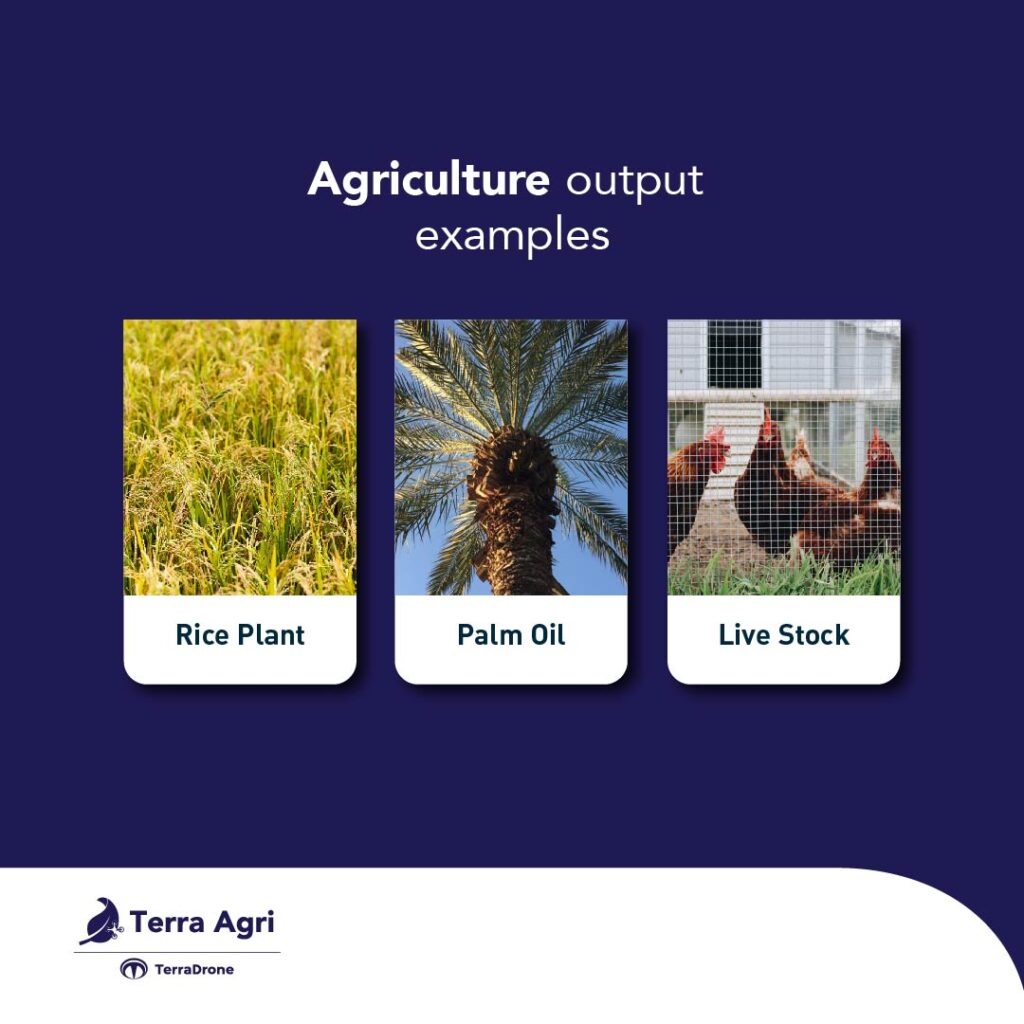 the difference between agriculture and horticulture output