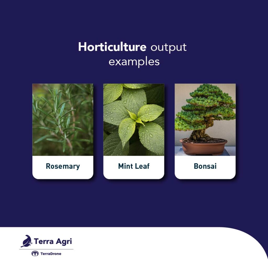the difference between agriculture and horticulture output