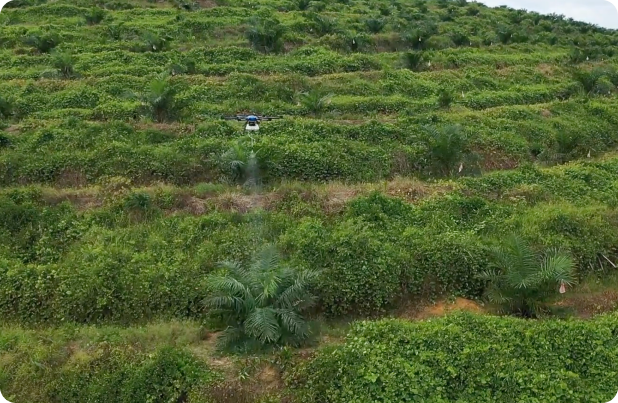 terra drone agri spot spraying drone
