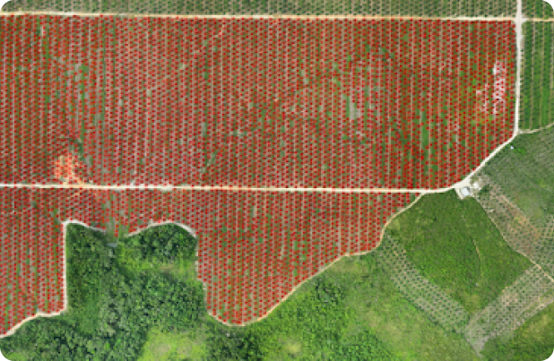 agriculture mapping drone for vegetation indices