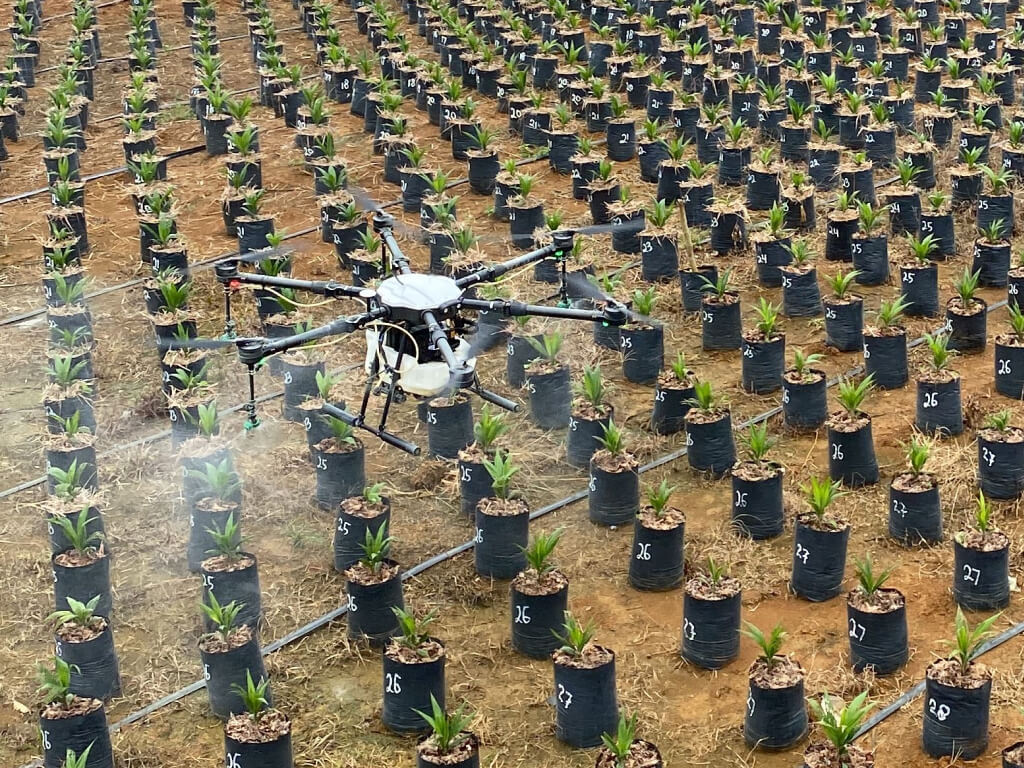 Agriculture drones for spraying for large scale agribusiness