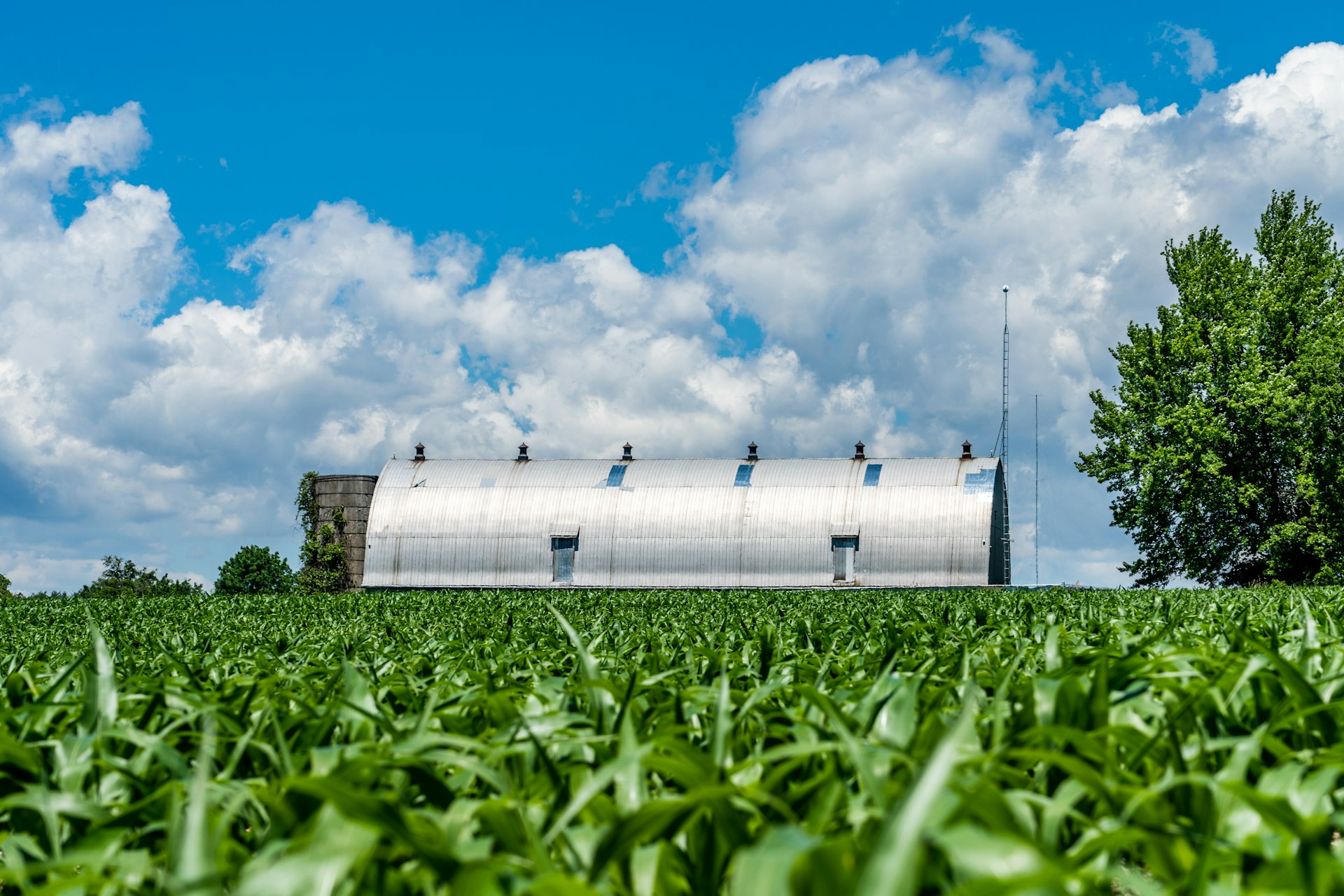 Greenhouse gas emissions in agriculture use sensors