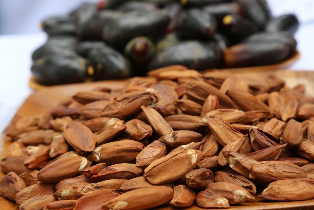 Dried pili nuts from the Philippines