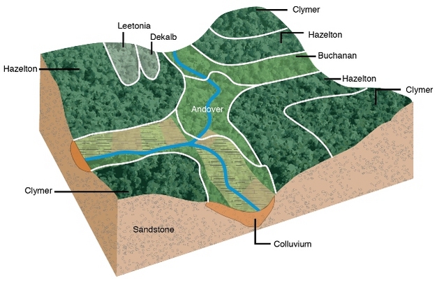 Block diagram showing distribution of soil bodies across a landscape. Image source Nature Education 
