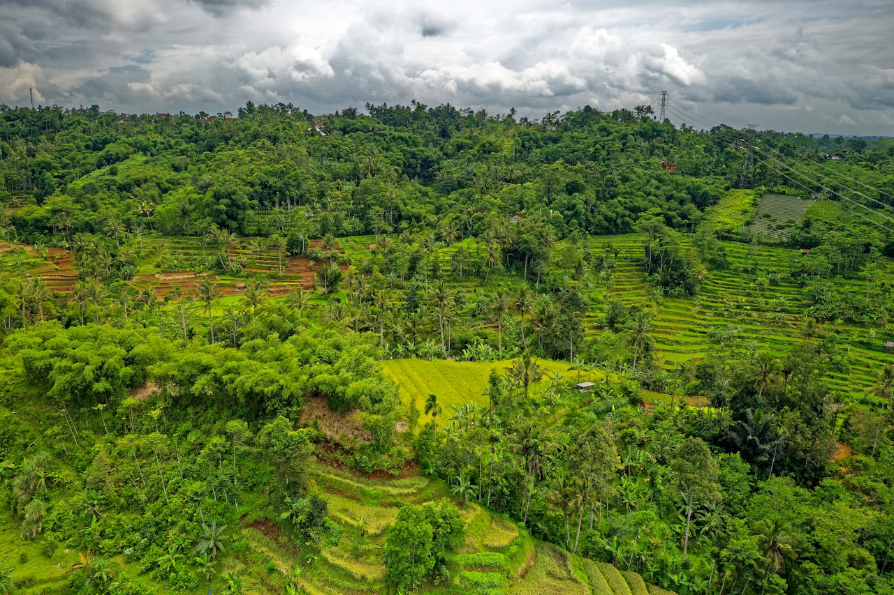 Impact of Topography on Farming Methods Illustration of farmland in West Java, Indonesia. Image source Pexels by Tom Fisk