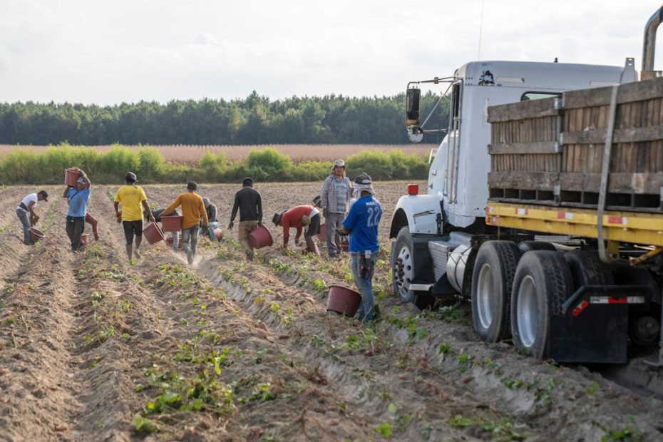 Challenges and Potential of Smart Farming in Asia