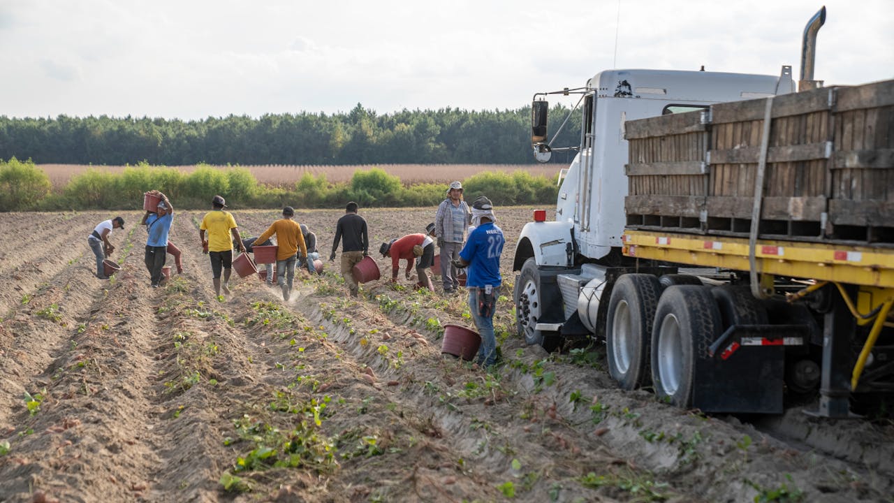 Challenges and Potential of Smart Farming in Asia