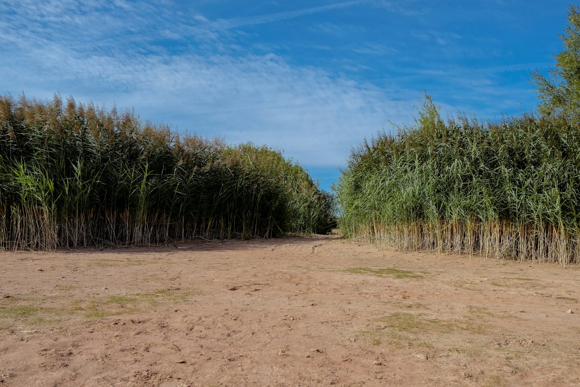 the impact of dry season farming in indonesia and innovative solutions