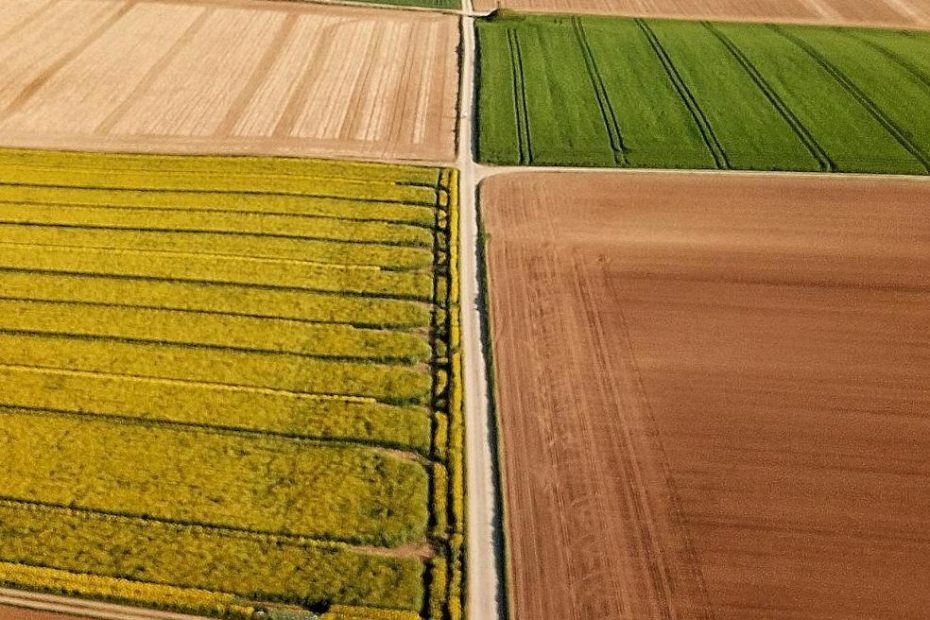 4 Recommended Drone Mapping Software for Completing Your Agriculture Mapping Projects