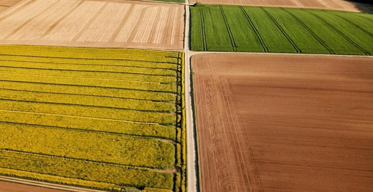 4 Recommended Drone Mapping Software for Completing Your Agriculture Mapping Projects