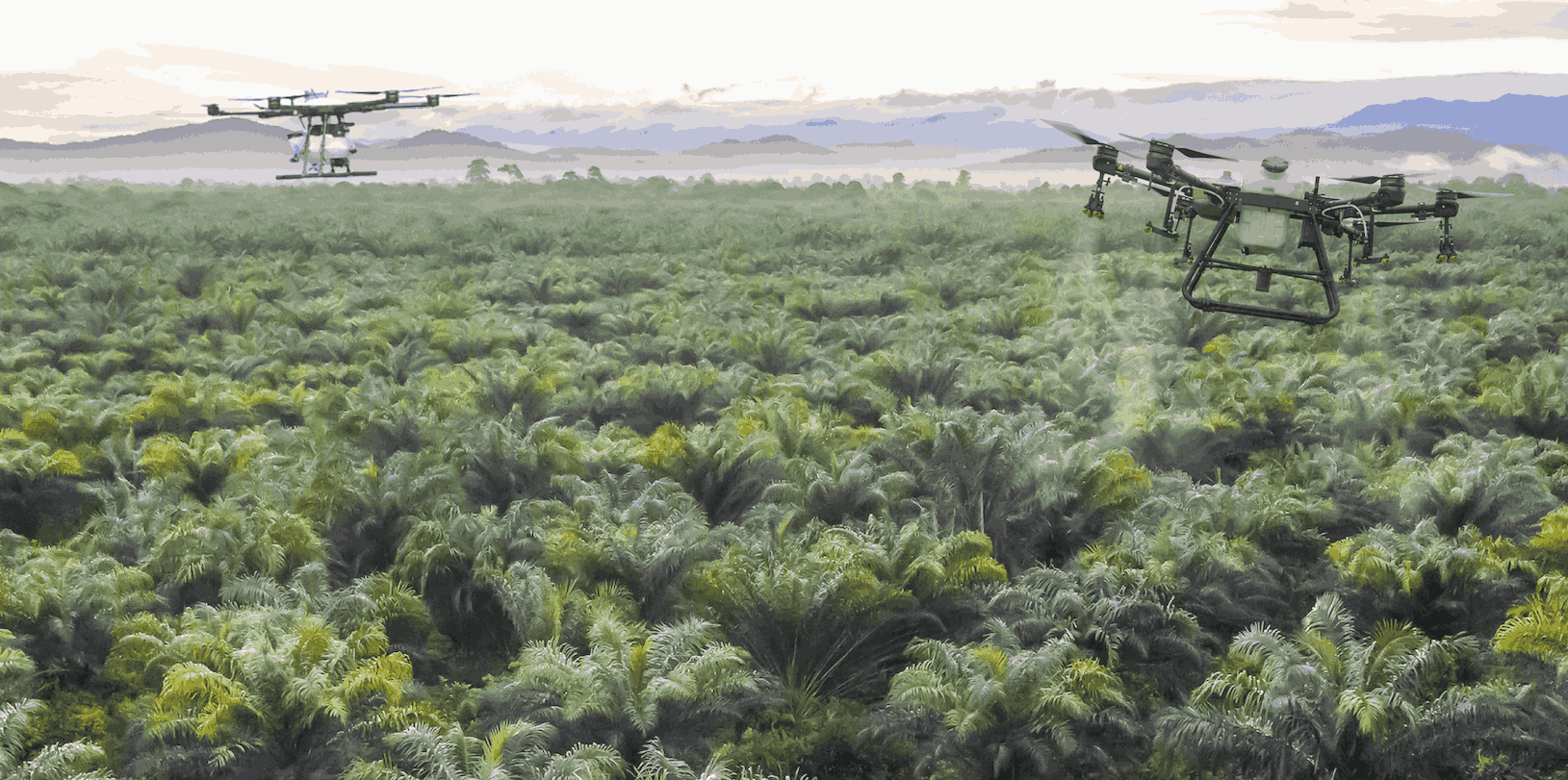 agriculture drone coverage area and factor influence