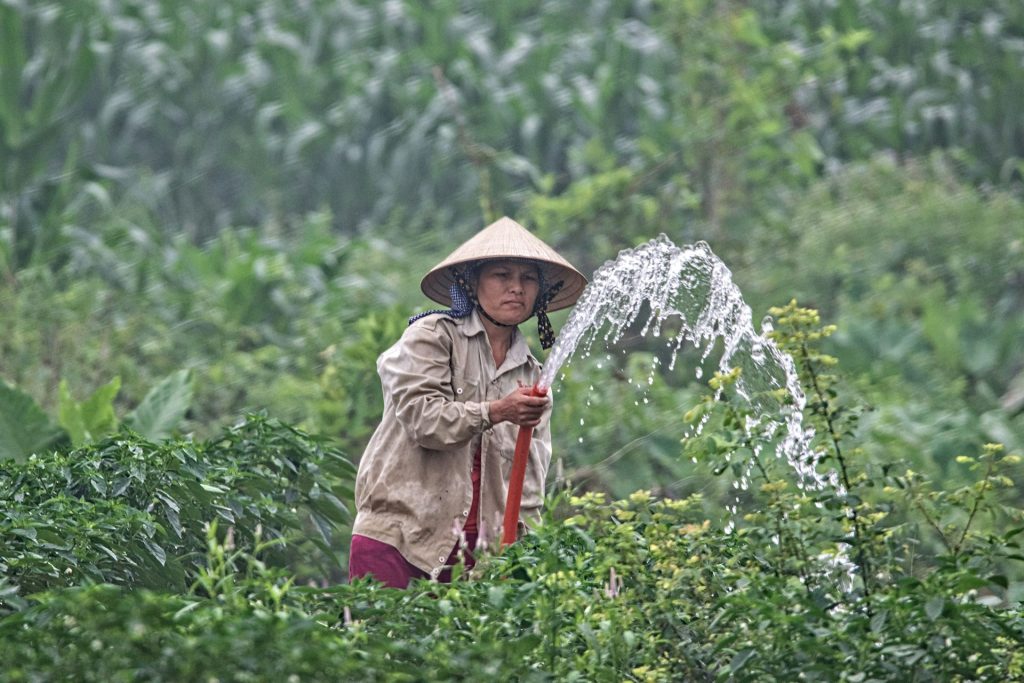 ilustrasi petani lokal, cara memperbaiki masalah dalam adopsi drone pertanian di Indonesia 