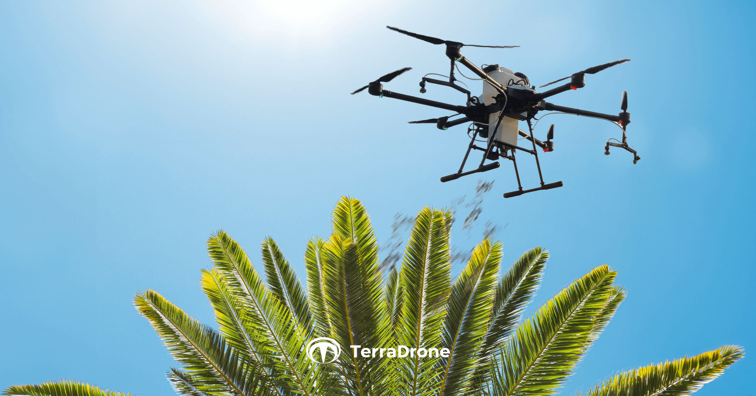 Terra Drone Agri Partners with S&H Techventure and ACM to Deploy Advanced Drones for Bagworm Control in Palm Oil Plantations