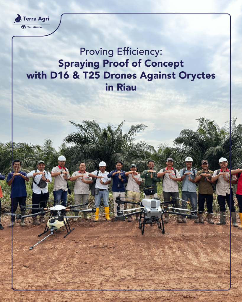 terra agri does demo spraying oryctes using T25 drone