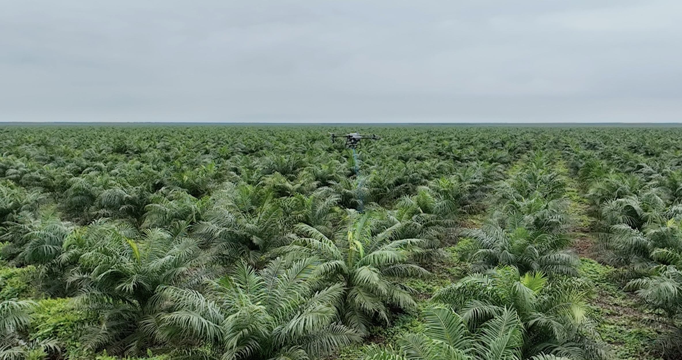 spreader and sprayer drones