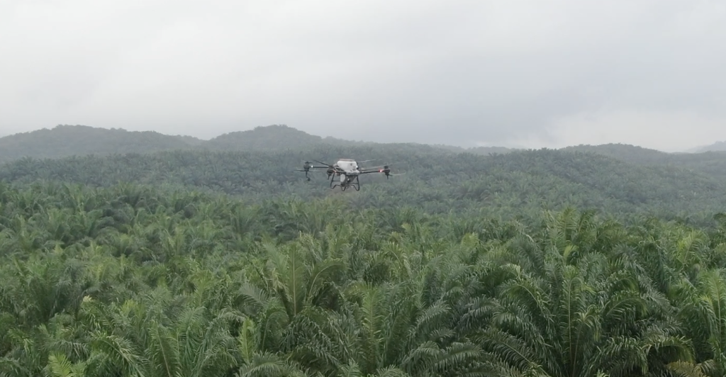 Terra Agri offers professional drone spraying and fertilizing services using the DJI Agras T40.