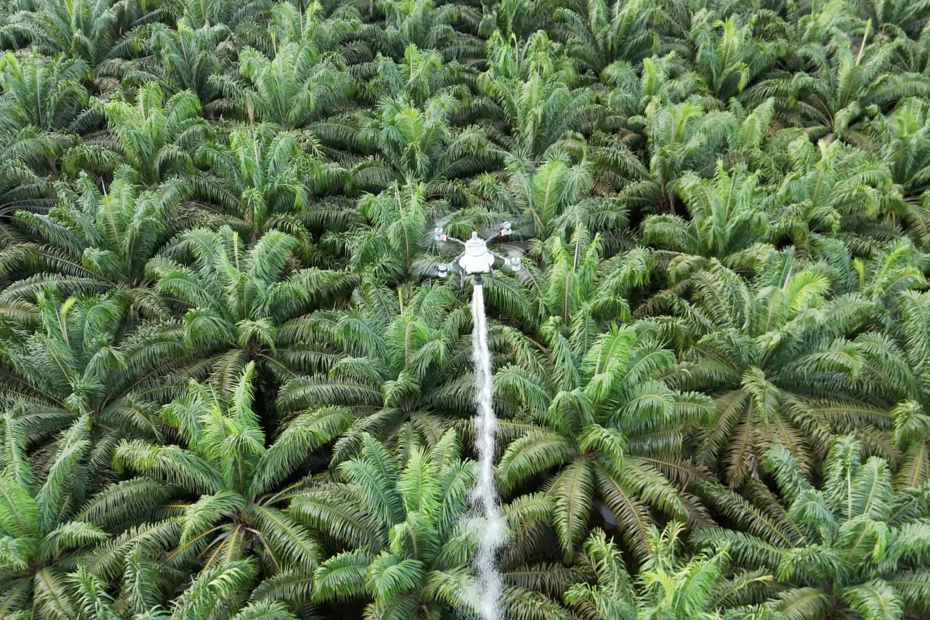 DJI T100 fertilizer drone