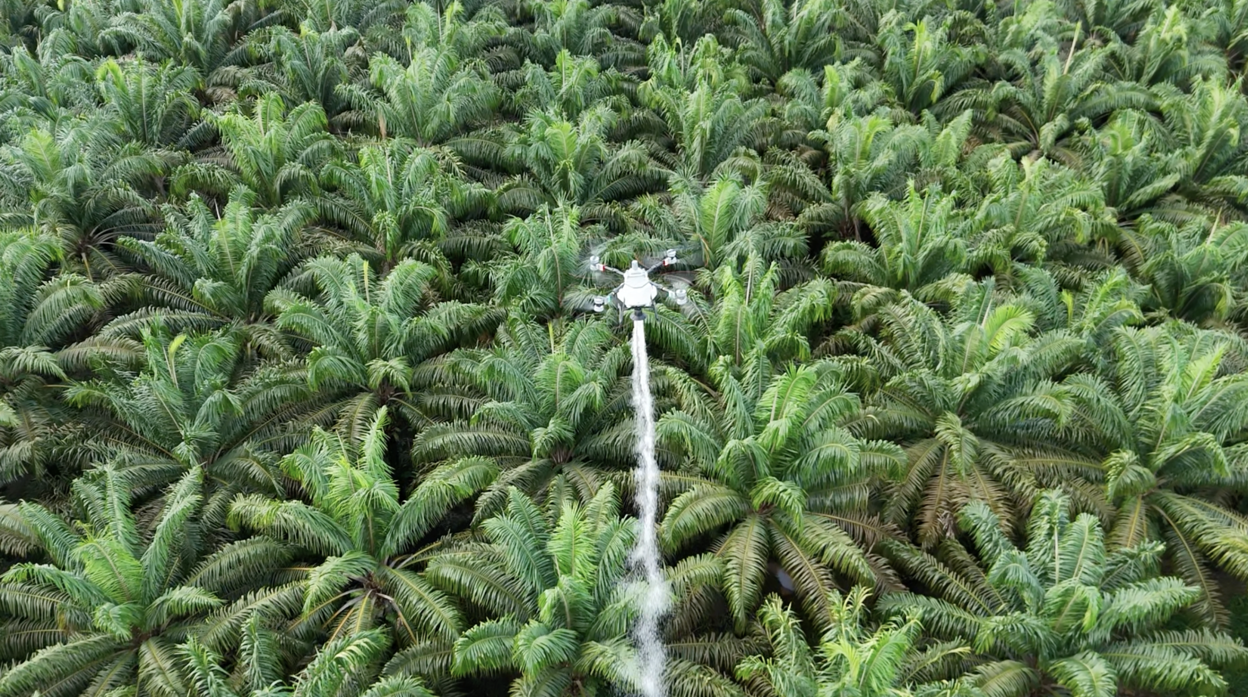 DJI T100 fertilizer drone