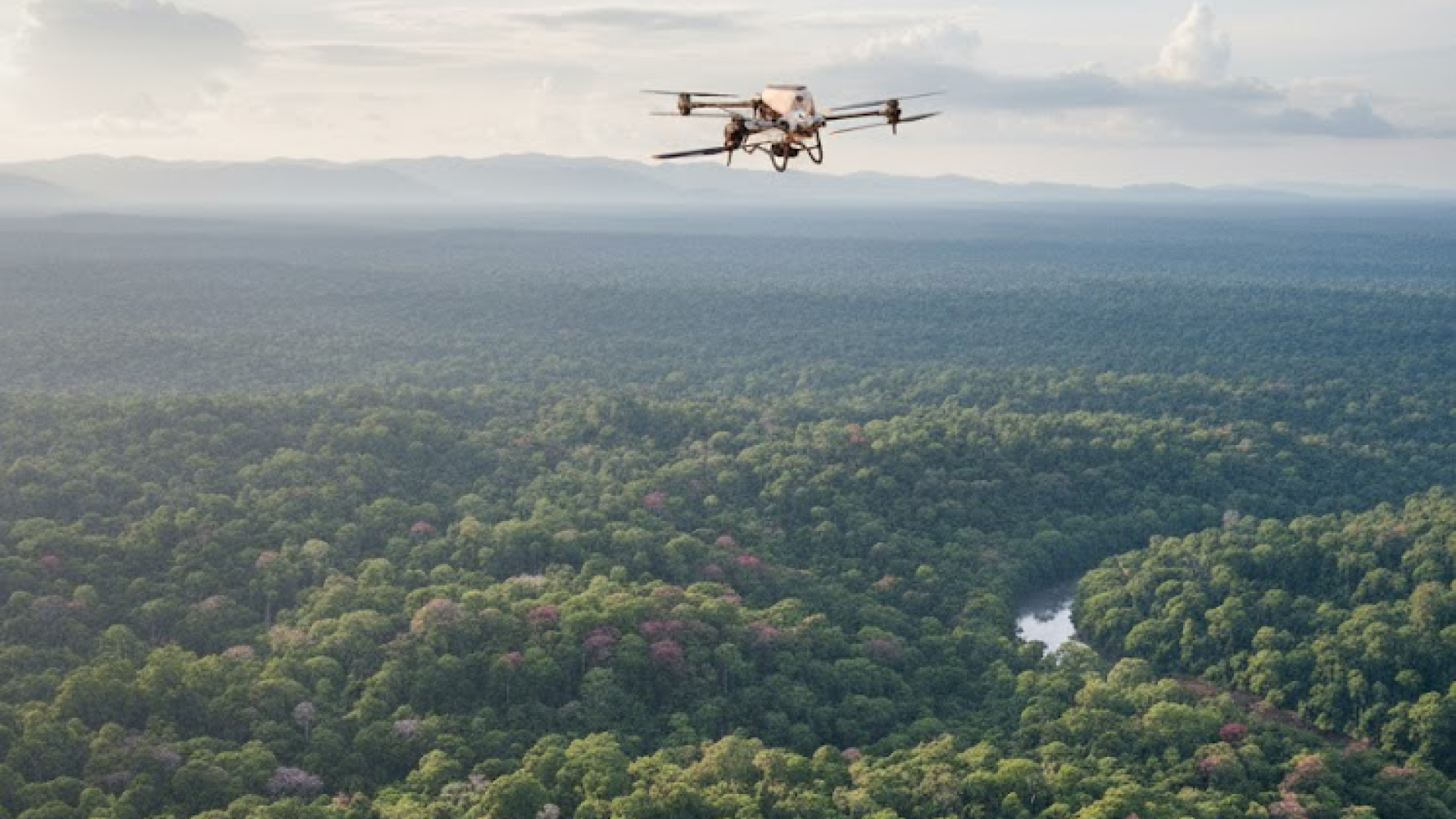 8 Key Comparisons Between DJI Agras T40 and DJI Agras T50