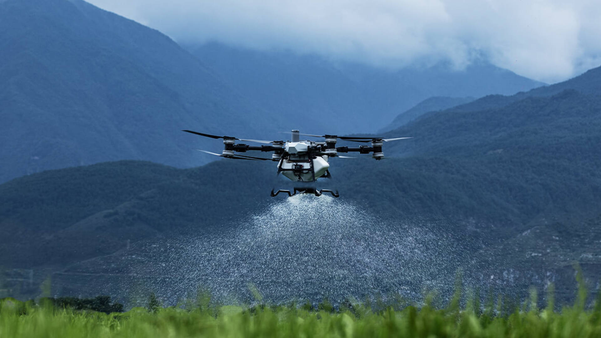 DJI Agras T100 spraying / sprinkler drone