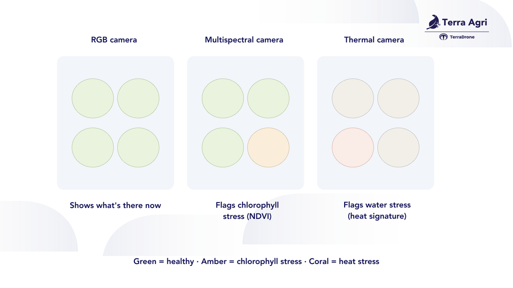 RGB vs multispectral vs thermal drone camera comparison for crop monitoring