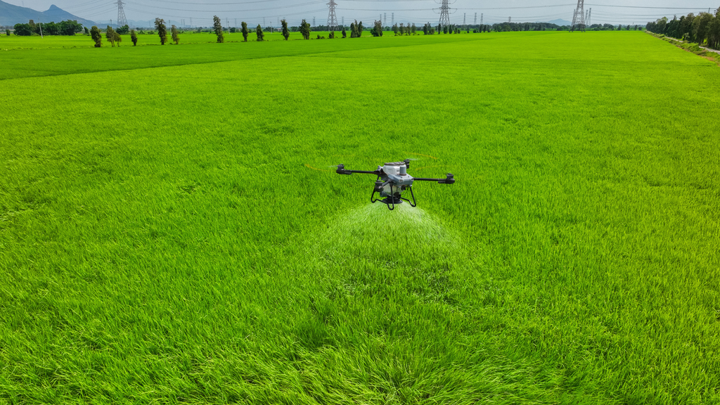 DJI Agras T25 spreading mode in paddy field