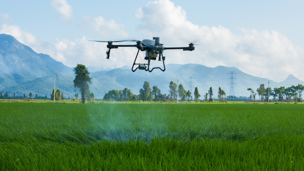 DJI Agras T25p spraying mode in paddy field